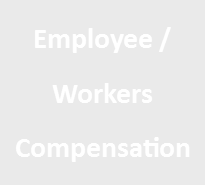 Employee & Work Comp 